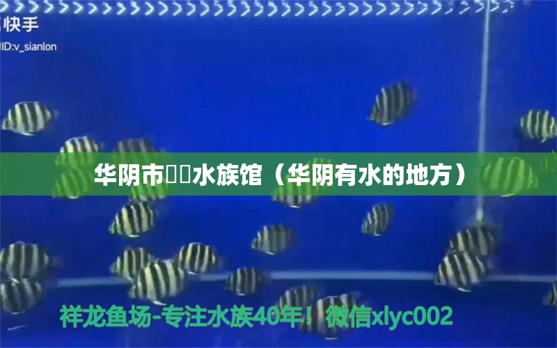 华阴市灜湜水族馆（华阴有水的地方）