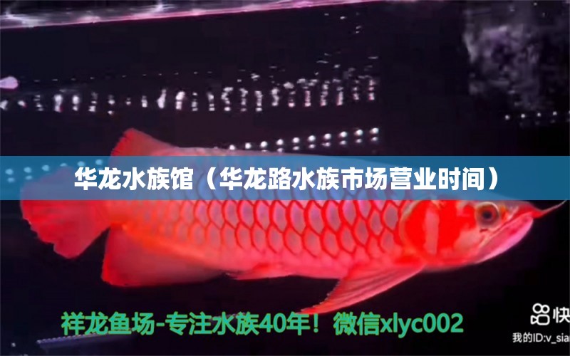 华龙水族馆（华龙路水族市场营业时间） 全国水族馆企业名录