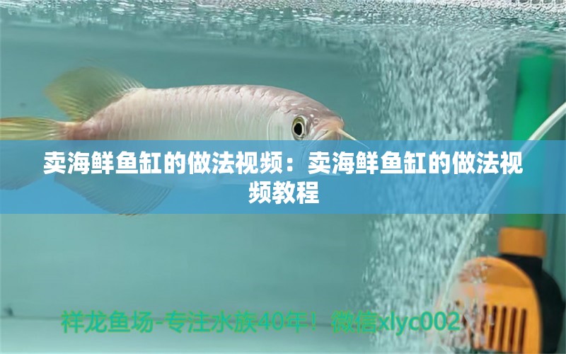 卖海鲜鱼缸的做法视频：卖海鲜鱼缸的做法视频教程