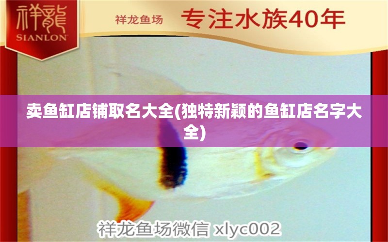 卖鱼缸店铺取名大全(独特新颖的鱼缸店名字大全) 金老虎鱼