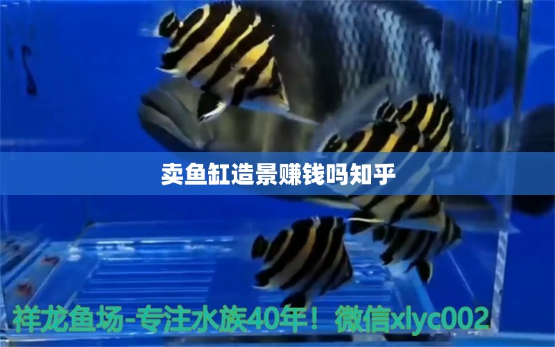 卖鱼缸造景赚钱吗知乎 水族问答 第2张