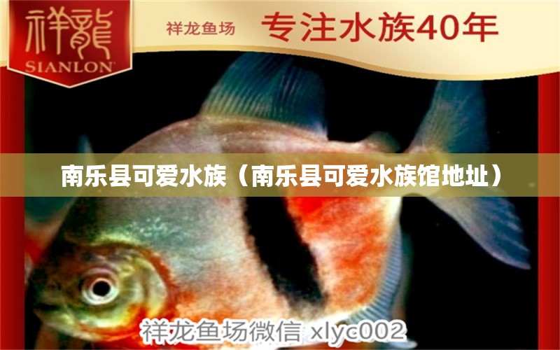 南乐县可爱水族（南乐县可爱水族馆地址）