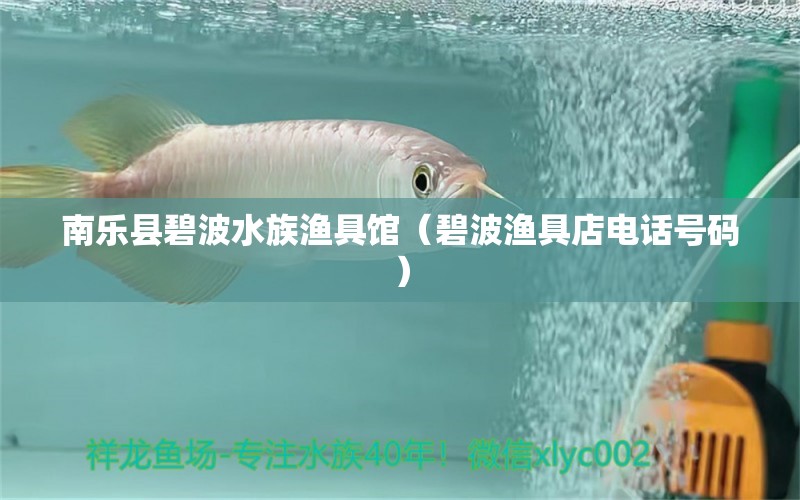 南乐县碧波水族渔具馆（碧波渔具店电话号码） 全国水族馆企业名录