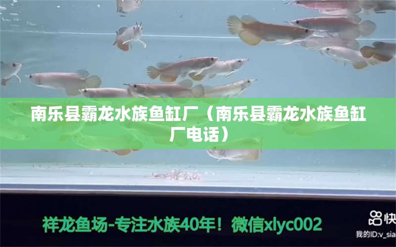 南乐县霸龙水族鱼缸厂（南乐县霸龙水族鱼缸厂电话）