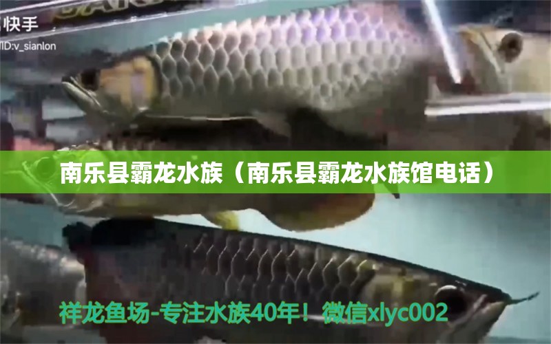 南乐县霸龙水族（南乐县霸龙水族馆电话）