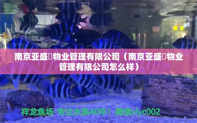 南京亚盛璟物业管理有限公司（南京亚盛璟物业管理有限公司怎么样）