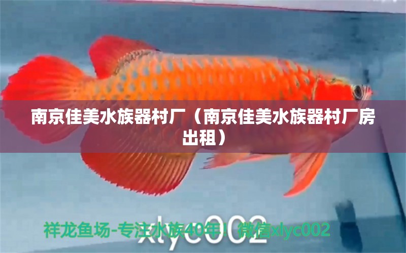 南京佳美水族器村厂（南京佳美水族器村厂房出租）