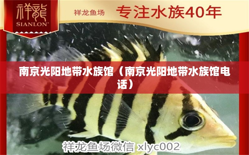 南京光阳地带水族馆（南京光阳地带水族馆电话） 全国水族馆企业名录