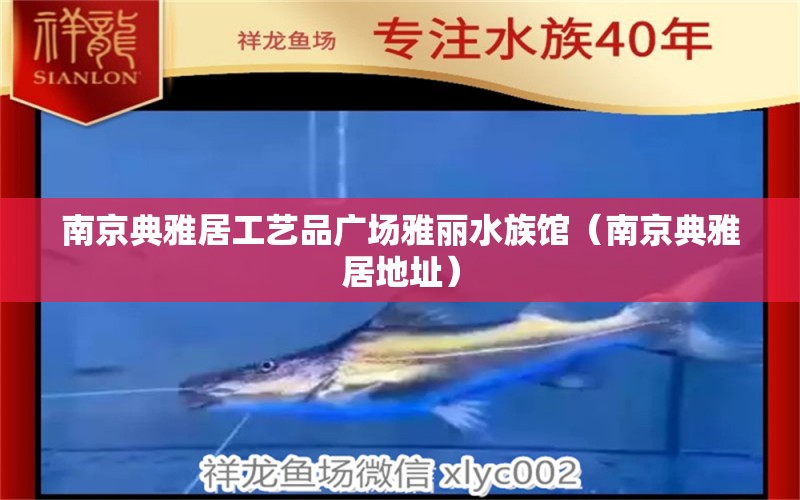 南京典雅居工艺品广场雅丽水族馆（南京典雅居地址） 全国水族馆企业名录