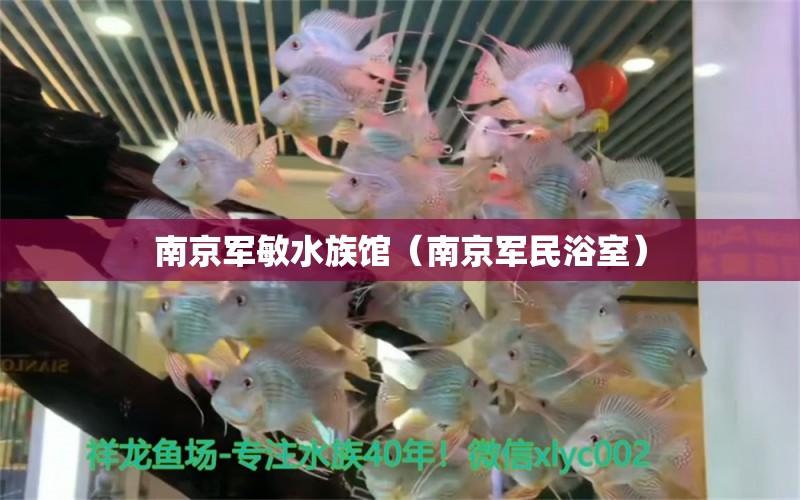 南京军敏水族馆（南京军民浴室） 全国水族馆企业名录