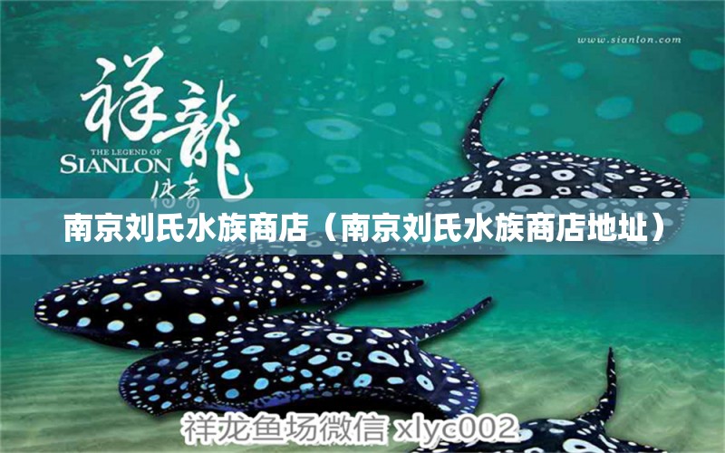 南京刘氏水族商店（南京刘氏水族商店地址）