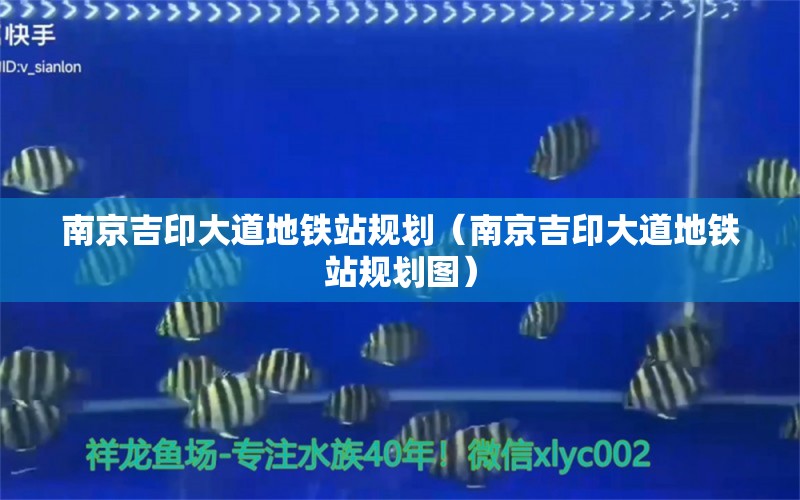 南京吉印大道地铁站规划（南京吉印大道地铁站规划图）