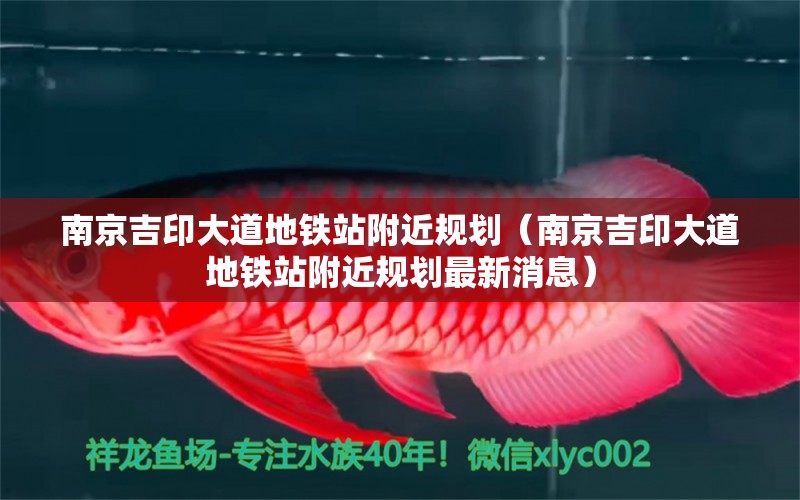 南京吉印大道地铁站附近规划（南京吉印大道地铁站附近规划最新消息） 吉印水族