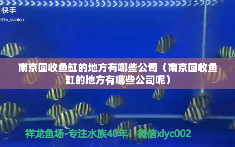 南京回收鱼缸的地方有哪些公司（南京回收鱼缸的地方有哪些公司呢）