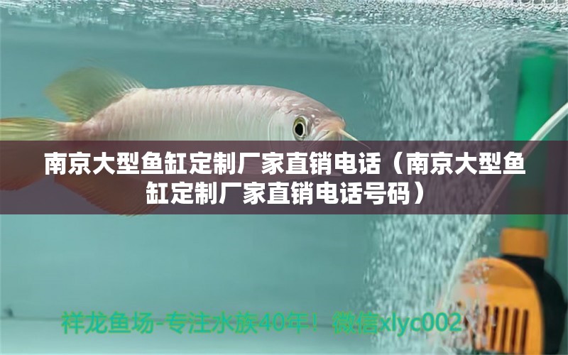南京大型鱼缸定制厂家直销电话（南京大型鱼缸定制厂家直销电话号码）