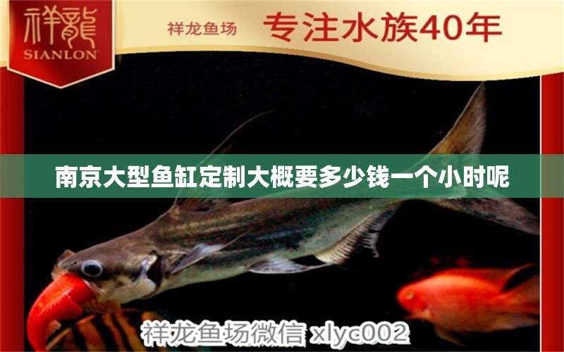 南京大型鱼缸定制大概要多少钱一个小时呢 祥龙鱼场