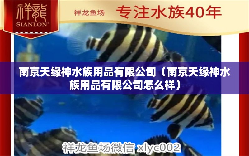 南京天缘神水族用品有限公司（南京天缘神水族用品有限公司怎么样）