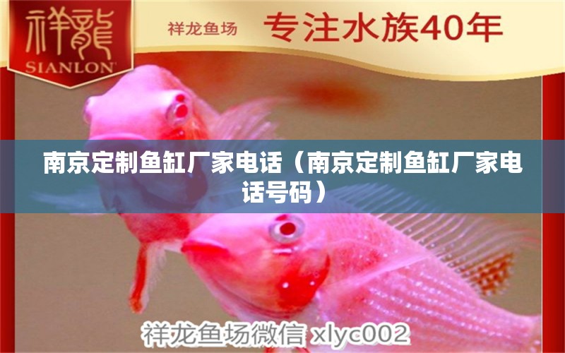 南京定制鱼缸厂家电话（南京定制鱼缸厂家电话号码） 水族品牌