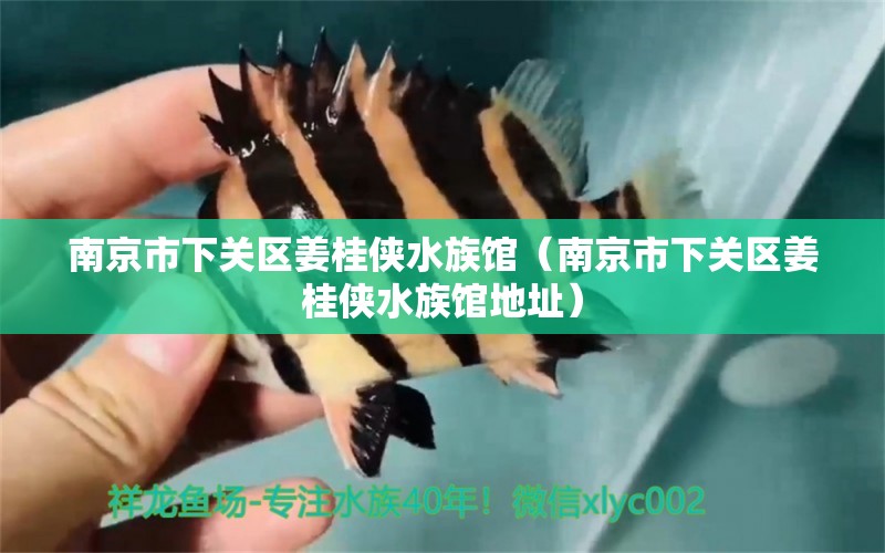 南京市下关区姜桂侠水族馆（南京市下关区姜桂侠水族馆地址）