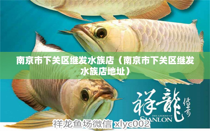 南京市下关区继发水族店（南京市下关区继发水族店地址）