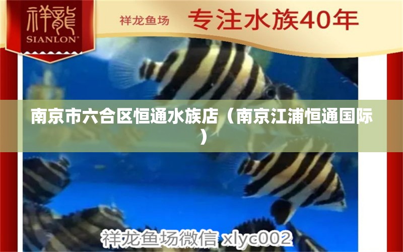 南京市六合区恒通水族店（南京江浦恒通国际） 全国水族馆企业名录