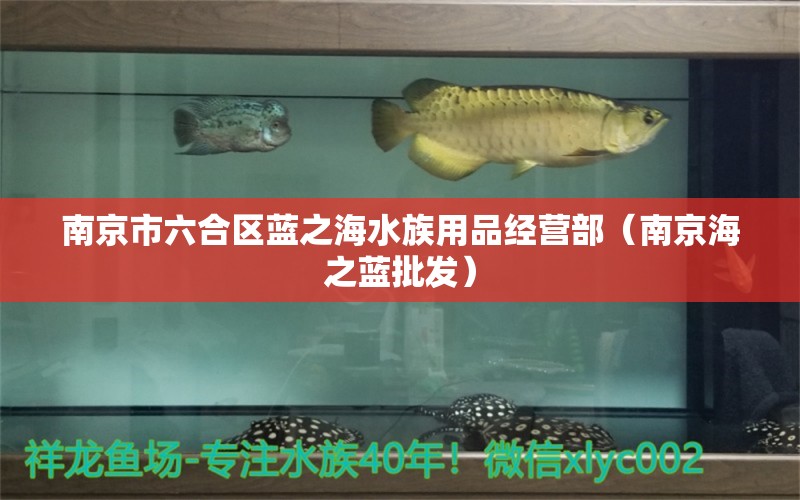 南京市六合区蓝之海水族用品经营部（南京海之蓝批发）