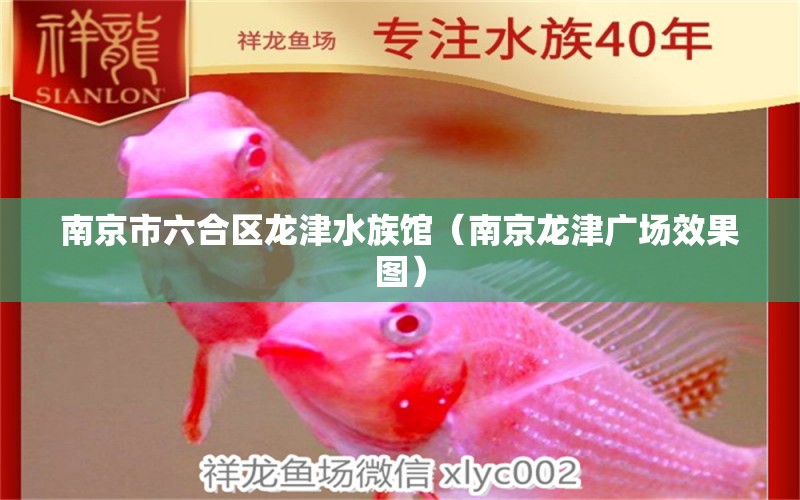 南京市六合区龙津水族馆（南京龙津广场效果图）