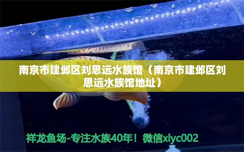 南京市建邺区刘思远水族馆（南京市建邺区刘思远水族馆地址） 全国水族馆企业名录