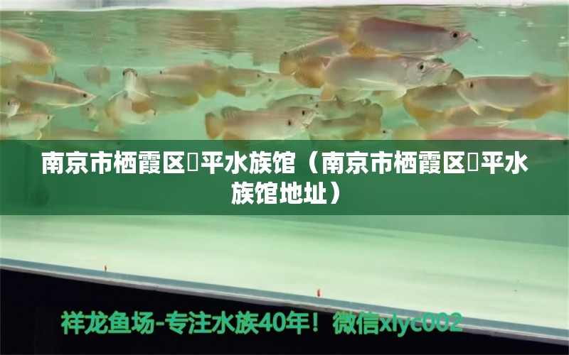 南京市栖霞区珰平水族馆（南京市栖霞区珰平水族馆地址） 全国水族馆企业名录