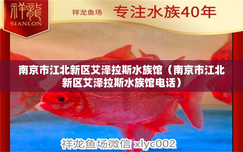 南京市江北新区艾泽拉斯水族馆（南京市江北新区艾泽拉斯水族馆电话） 全国水族馆企业名录