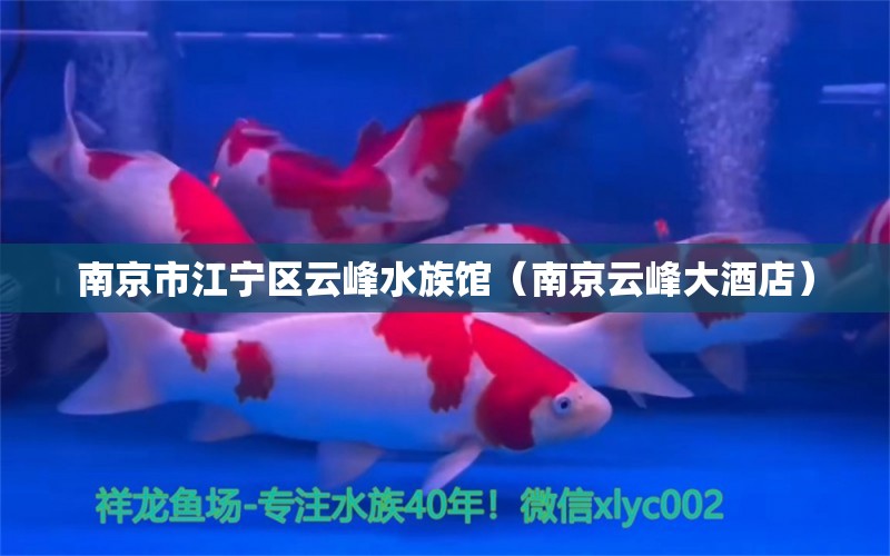 南京市江宁区云峰水族馆（南京云峰大酒店）