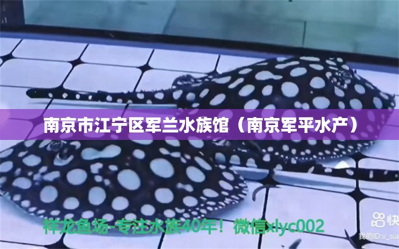 南京市江宁区军兰水族馆（南京军平水产）