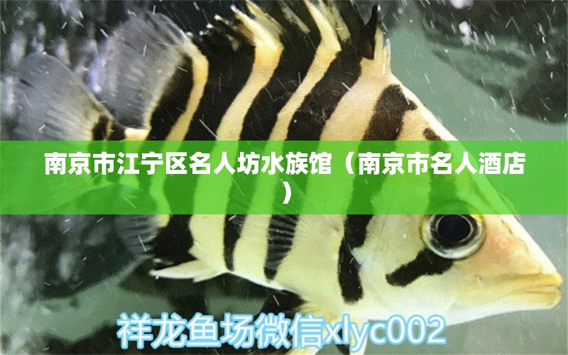 南京市江宁区名人坊水族馆（南京市名人酒店） 全国水族馆企业名录