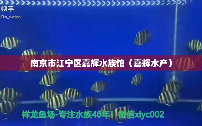 南京市江宁区嘉辉水族馆（嘉辉水产）