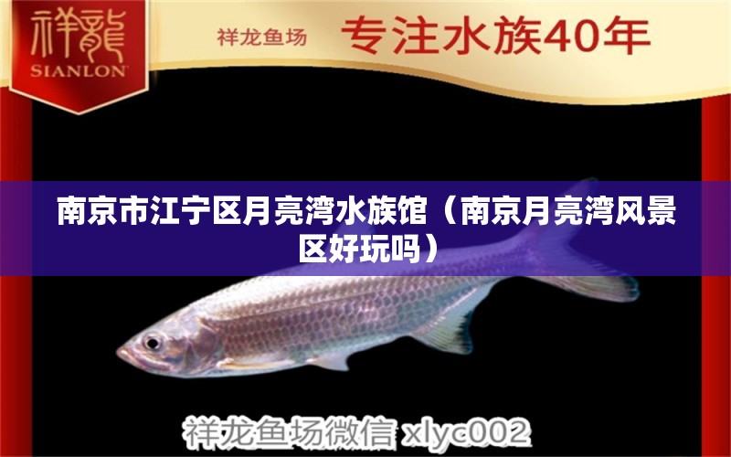 南京市江宁区月亮湾水族馆（南京月亮湾风景区好玩吗） 全国水族馆企业名录