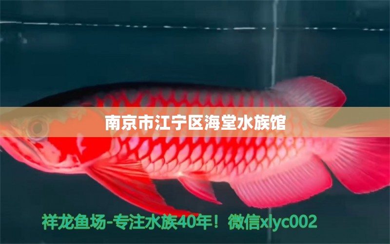 南京市江宁区海堂水族馆 全国水族馆企业名录