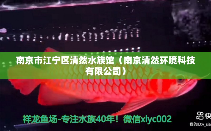 南京市江宁区清然水族馆（南京清然环境科技有限公司）