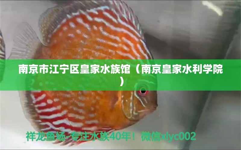 南京市江宁区皇家水族馆（南京皇家水利学院）