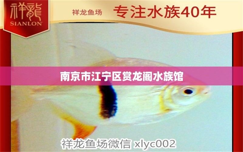 南京市江宁区赏龙阁水族馆