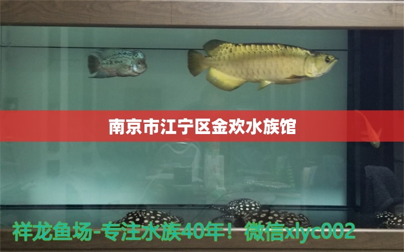 南京市江宁区金欢水族馆