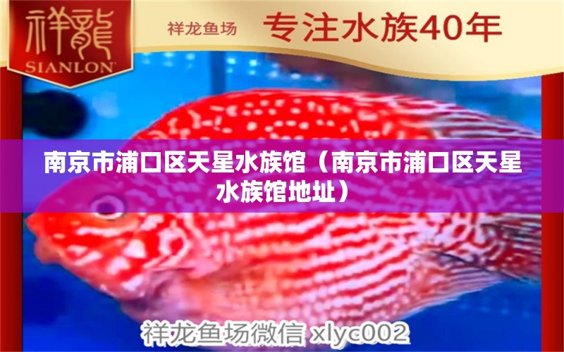 南京市浦口区天星水族馆（南京市浦口区天星水族馆地址）