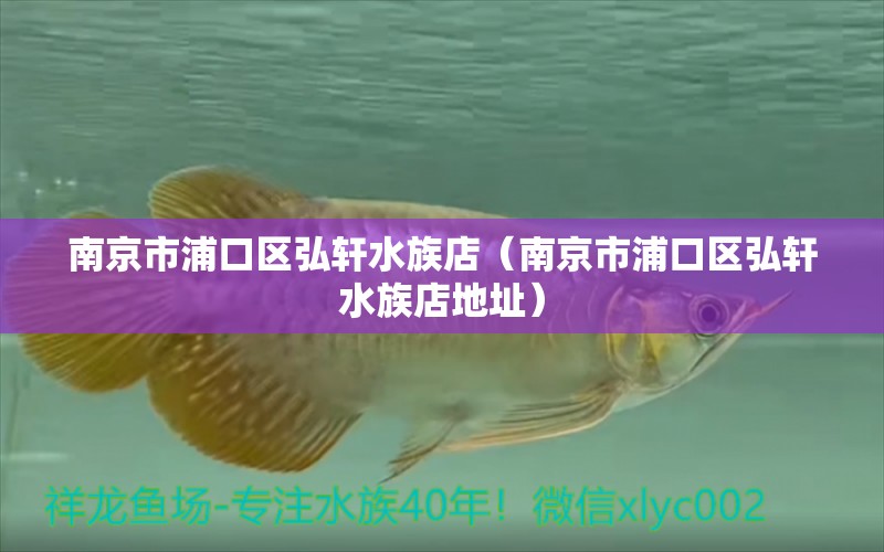 南京市浦口区弘轩水族店（南京市浦口区弘轩水族店地址）