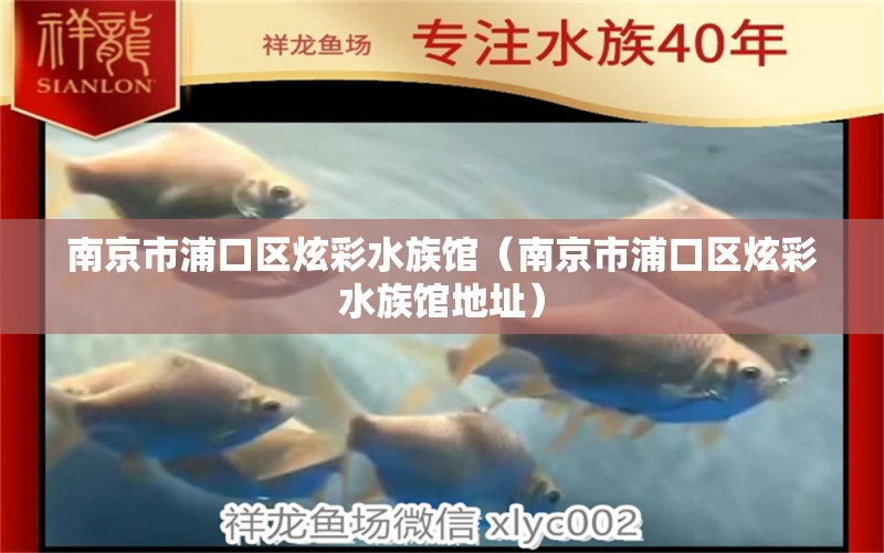 南京市浦口区炫彩水族馆（南京市浦口区炫彩水族馆地址）