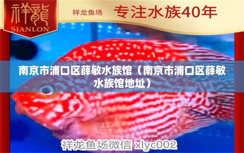 南京市浦口区薛敏水族馆（南京市浦口区薛敏水族馆地址） 全国水族馆企业名录