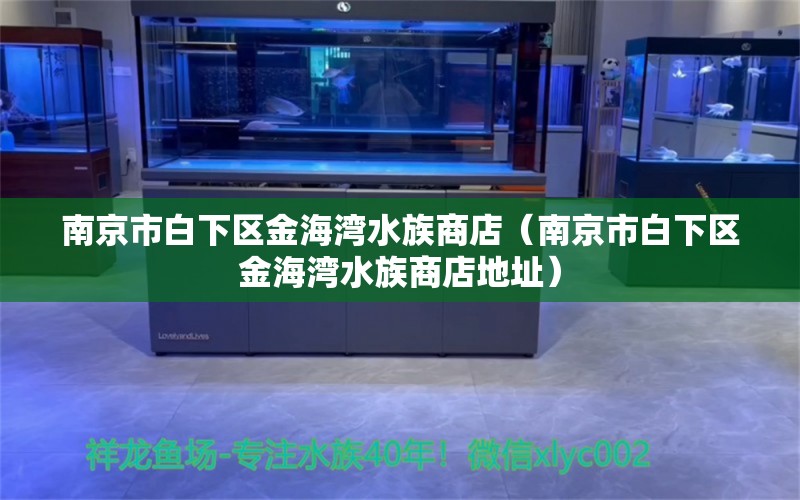 南京市白下区金海湾水族商店（南京市白下区金海湾水族商店地址） 全国水族馆企业名录