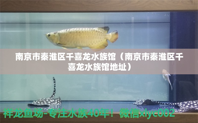 南京市秦淮区千喜龙水族馆（南京市秦淮区千喜龙水族馆地址） 全国水族馆企业名录