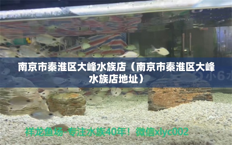 南京市秦淮区大峰水族店（南京市秦淮区大峰水族店地址）