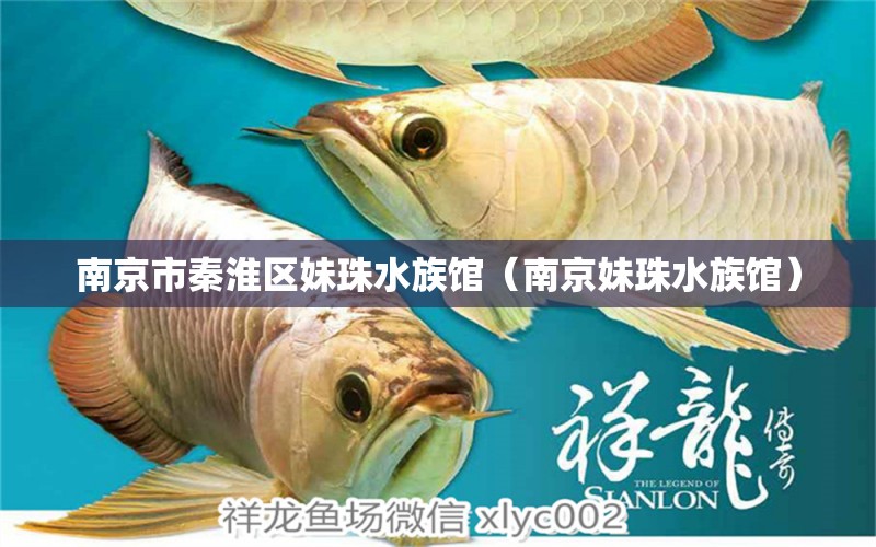 南京市秦淮区妹珠水族馆（南京妹珠水族馆） 全国观赏鱼市场 第2张