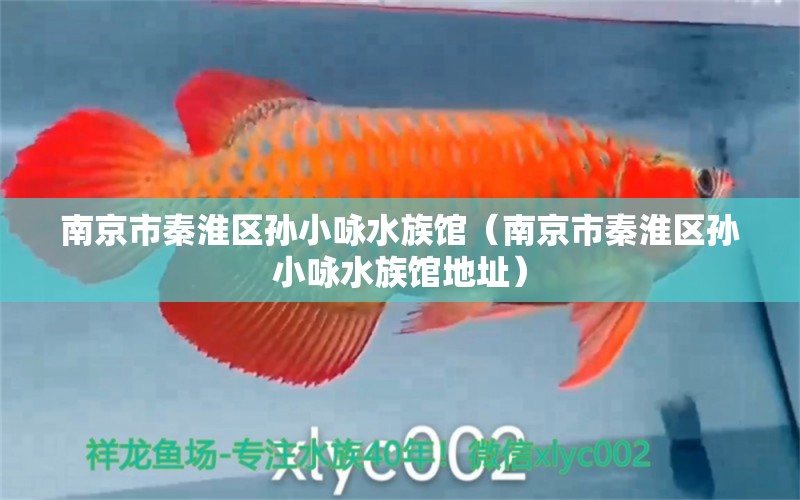 南京市秦淮区孙小咏水族馆（南京市秦淮区孙小咏水族馆地址） 全国水族馆企业名录