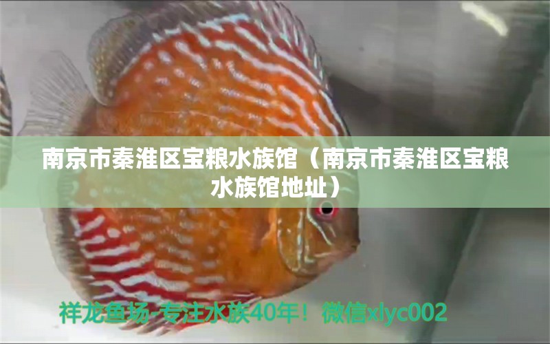 南京市秦淮区宝粮水族馆（南京市秦淮区宝粮水族馆地址） 全国水族馆企业名录